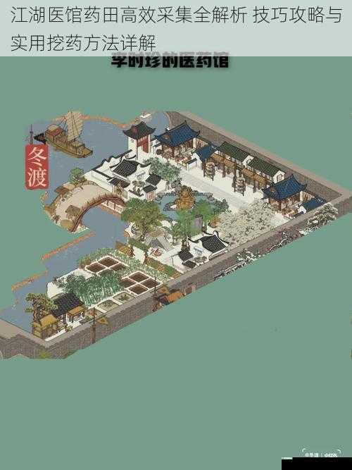 江湖医馆药田高效采集全解析 技巧攻略与实用挖药方法详解