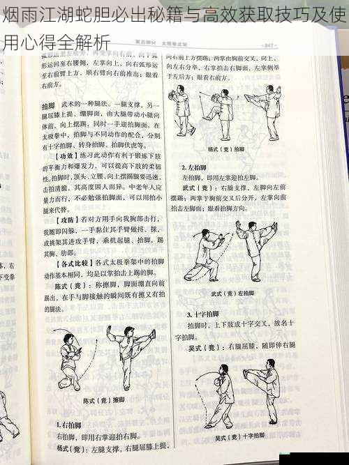 烟雨江湖蛇胆必出秘籍与高效获取技巧及使用心得全解析